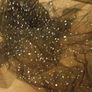 fabric Image 2