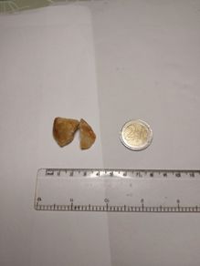 Golden healer quartz
