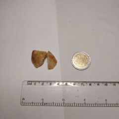 Golden healer quartz