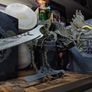 Dragonology: The Frost Dragon Book and Model Set ! 2008 ! by Candlewick  ! Image 3