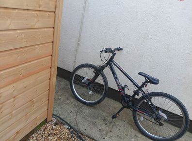bike kids