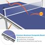 Table Tennis Table Image 7