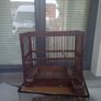bird finch canary hopper cage I gave my birds away Image 2