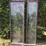 Glasshouse Image 7