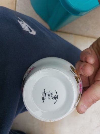 fine bone china royal trent