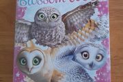 The Owls of Blossom Wood x 6 - new