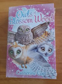 The Owls of Blossom Wood x 6 - new