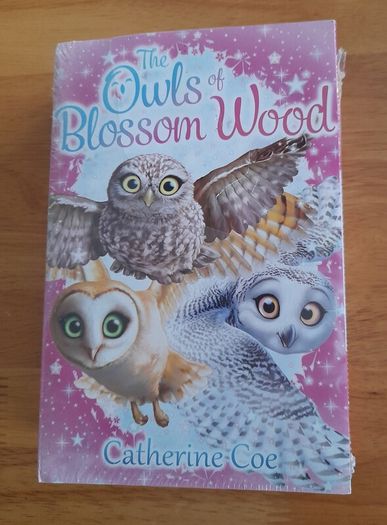 The Owls of Blossom Wood x 6 - new