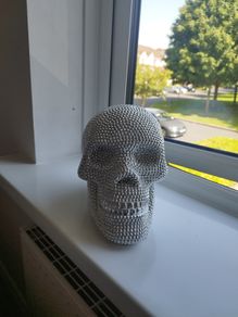 Skull head