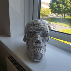 Skull head