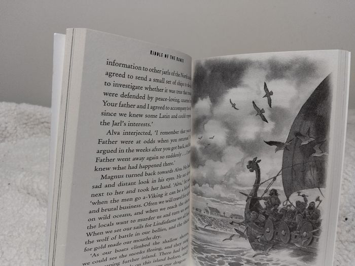 Riddle Of The Runes Children,s Book