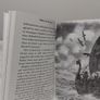 Riddle Of The Runes Children,s Book Image 4