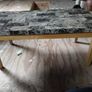 Coffee table Image 2