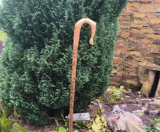 shepherds crook stick