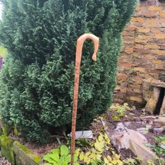 shepherds crook stick