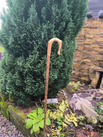 shepherds crook stick