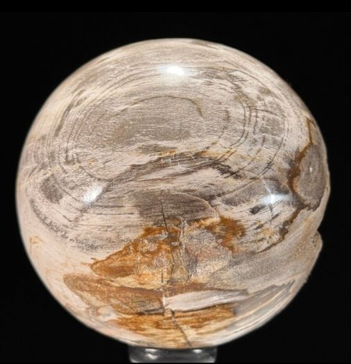 Polished Petrified Wood Geode Sphere (Diameter 10.2cm) - Wood, Woden Stand