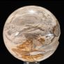 Polished Petrified Wood Geode Sphere (Diameter 10.2cm) - Wood, Woden Stand Image 8