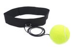 Speed Punch Ball