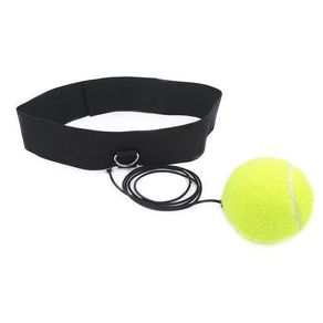 Speed Punch Ball
