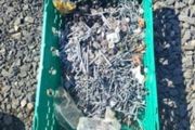 Mix of Galvanised Shed Nails