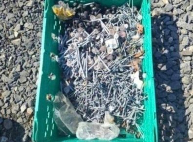 Mix of Galvanised Shed Nails
