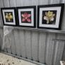 3 framed pictures Image 6