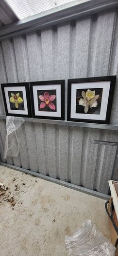 3 framed pictures
