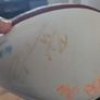 1998 Amsterdam admirals signed football Image 6