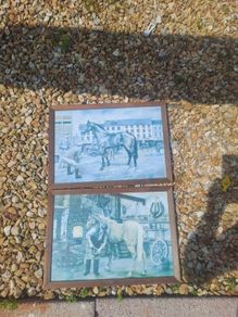 horse prints