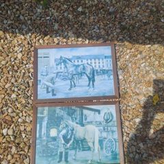 horse prints