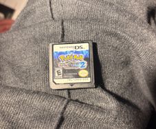 Nintendo cartridge DS