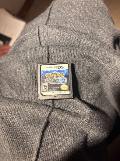 Nintendo cartridge DS
