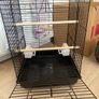 bird cage Image 3