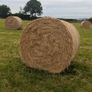 Excellent Quality Hay Bales Image 6