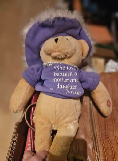 Mother and Daughter Bear