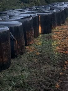 Silage bails