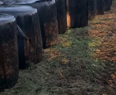 Silage bails