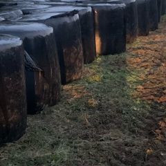 Silage bails
