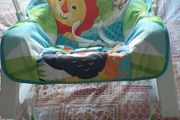 Baby Bouncer