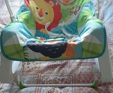 Baby Bouncer