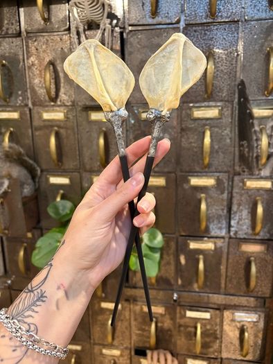1 Soldered Witchy Odd Badger Scapula Bone Hair Pins