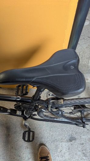 trek FX 7.1