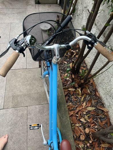 Ladies Bike