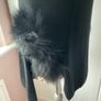 jumper Bnwt black occasion piece jumper with fur panels large /xl Image 3