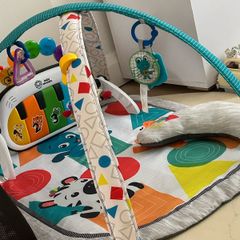 baby einstein gym