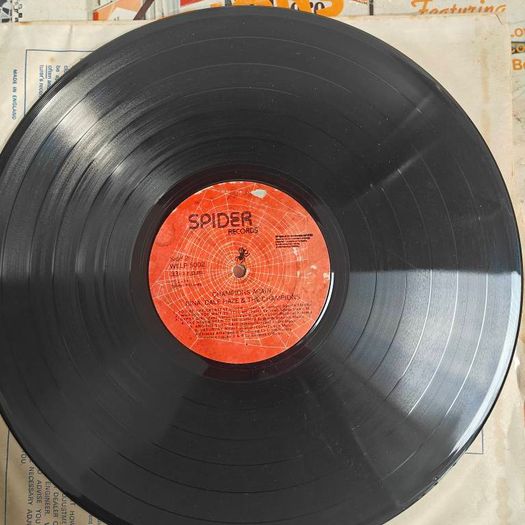 Gina Dale Haze and the Champions,  Champions Again LP,  Irish  Showband