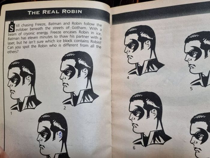 Batman & Robin activity book