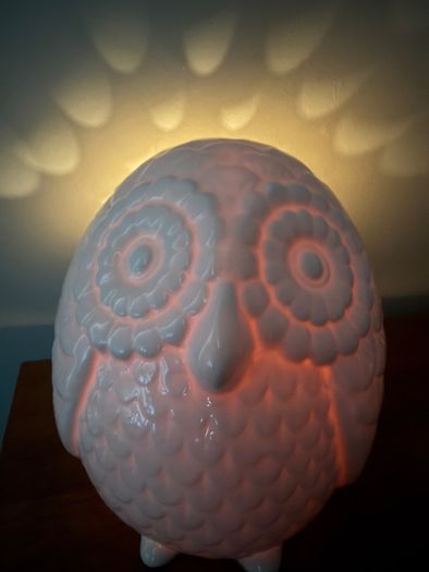 Ceramic Owl lamp