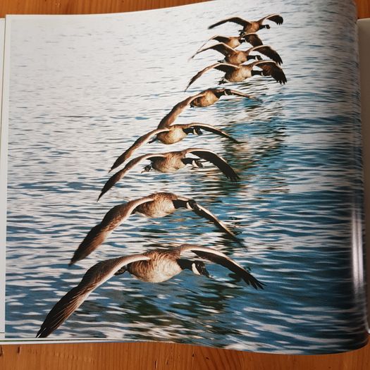 Photographic Book. Manitoba Seasons  In Beauty. Signed By The Author Robert R. Taylor. By R